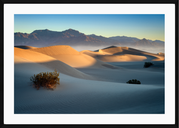 Mesquite Dunes
