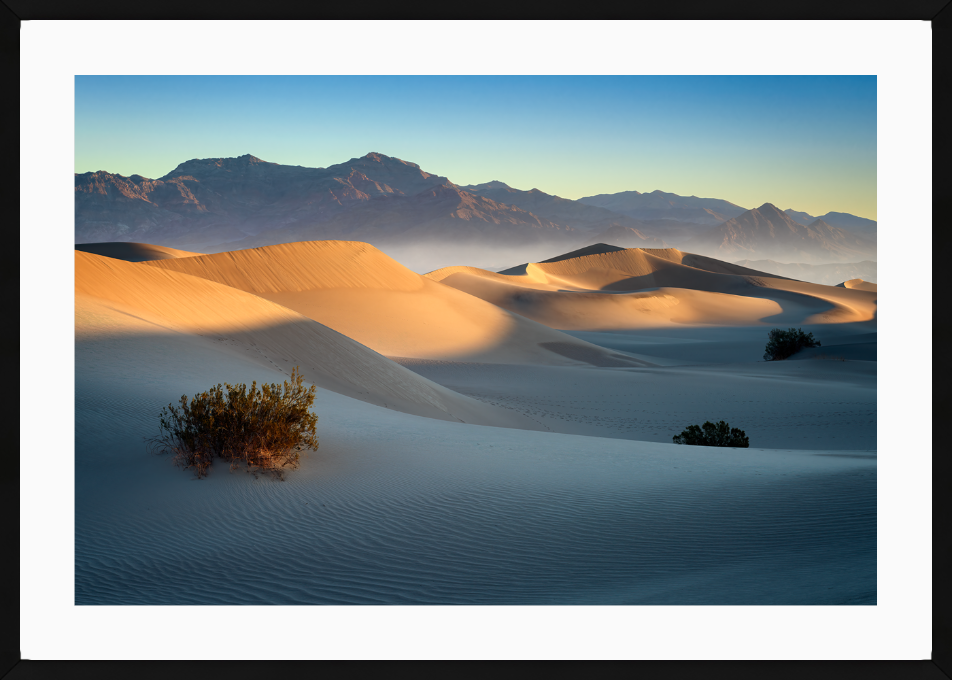 Mesquite Dunes