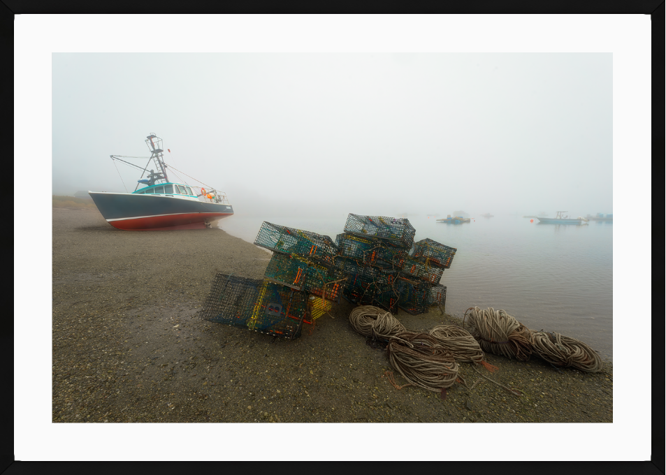 Fog in the Harbor