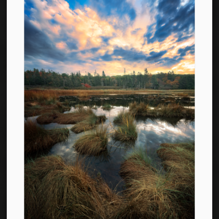 The Marsh at Beehive