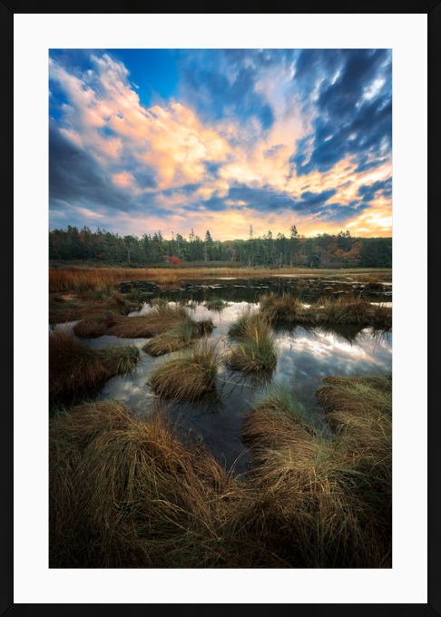 The Marsh at Beehive