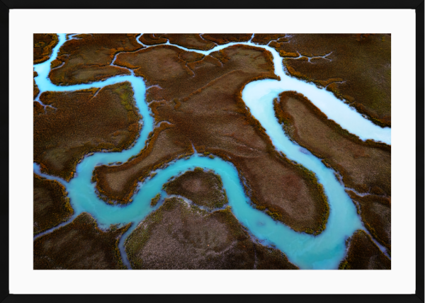 Salt Marsh Symphony