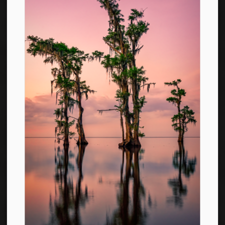 Pink Twilight on Lake Maurepas