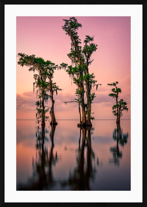 Pink Twilight on Lake Maurepas