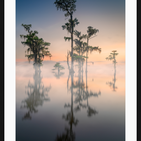 Cypress Whispers