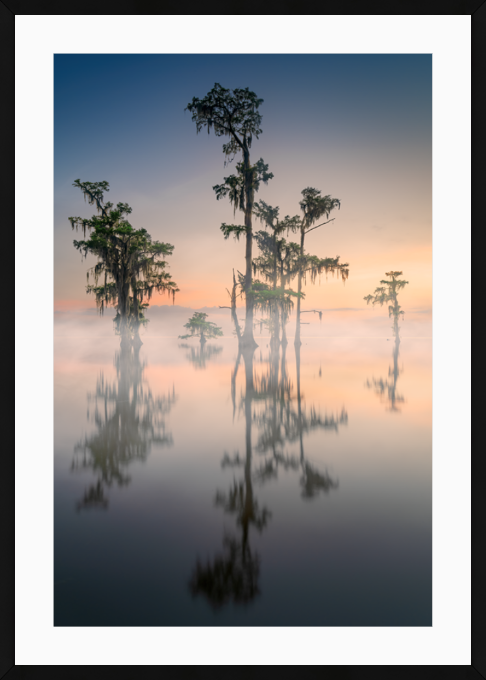 Cypress Whispers