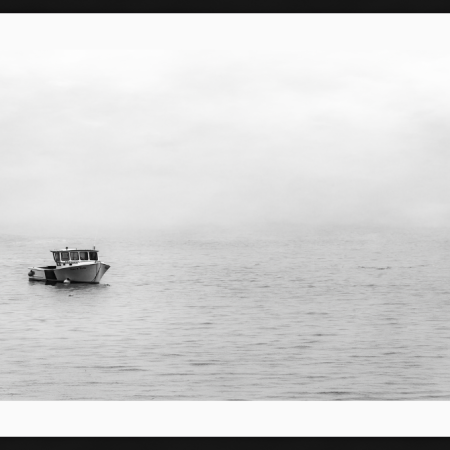 Fog's Embrace