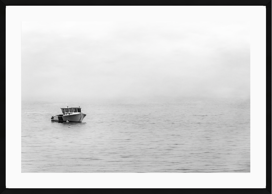 Fog's Embrace