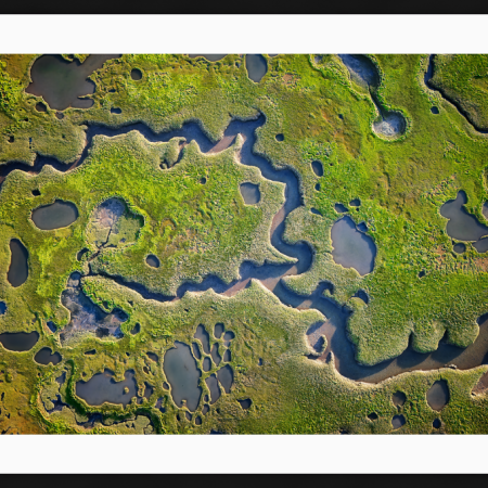 Salt Marsh Abstract
