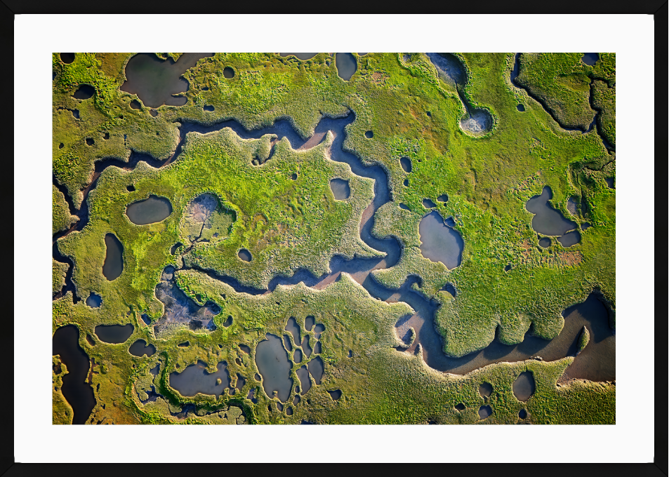 Salt Marsh Abstract